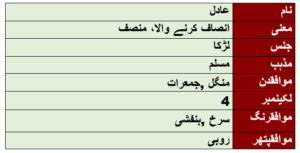 Adil Name Meaning In Urdu -عادل - Muslim Boy Name