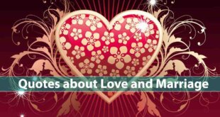 Quotes about Love and Marriage