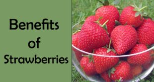 benefits of strawberries