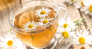 Amazing Health Benefits of Chamomile Tea