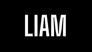 Liam Name Meaning